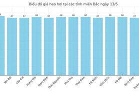 Giá heo hơi hôm nay 13/5/2025: Miền Bắc quay đầu tăng nhẹ