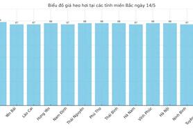 Giá heo hơi hôm nay 14/5/2025: Miền Nam giữ đà tăng nhẹ