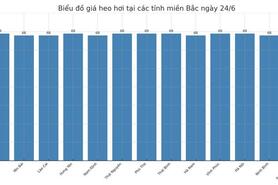 Giá heo hơi hôm nay 24/6/2025: Giảm đồng loạt tại miền Trung, miền Nam