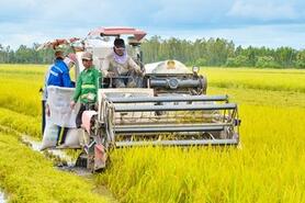 Doanh nghiệp nông nghiệp chỉ bị kiểm tra định kỳ không quá 1 lần mỗi năm