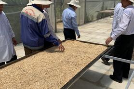 Xây dựng công trình tạm trên đất nông nghiệp: Mừng và lo