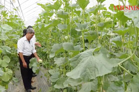 ‘Ngòi nổ’ trong xây dựng nông thôn mới ở Ninh Bình