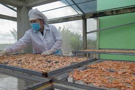 Phát triển tôm cua sinh thái nhờ chu trình khép kín bằng công nghệ