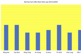 Giá heo hơi hôm nay 24/11/2025: Đi ngang cả 3 miền