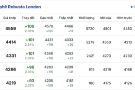 Giá cà phê hôm nay 26/11/2025: Giảm mạnh