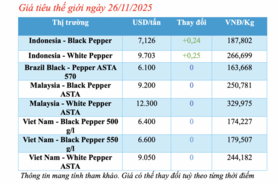 Giá tiêu hôm nay 26/11/2025: Tăng nhẹ cục bộ