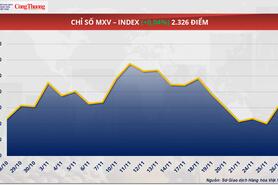 Giá cà phê Robusta tăng trở lại trước nguy cơ thiếu hụt nguồn cung