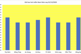 Giá heo hơi hôm nay 01/12/2025: Tiếp đà tăng, đạt mốc mới