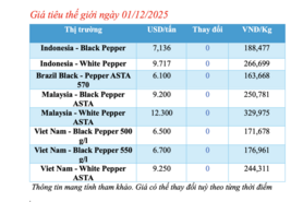 Giá tiêu hôm nay 01/12/2025: Tiếp tục đi ngang