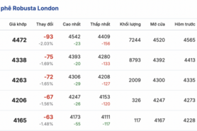 Giá cà phê hôm nay 2/12/2025: Đảo chiều giảm mạnh