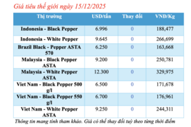 Giá tiêu hôm nay 15/12/2025: Cao nhất 150.000 đồng/kg
