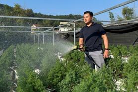 Không ngại khó, thanh niên nông thôn tự tin làm giàu từ cây trồng bản địa