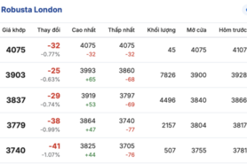 Giá cà phê hôm nay 12/1/2026: Tiếp tục đi ngang phiên đầu tuần