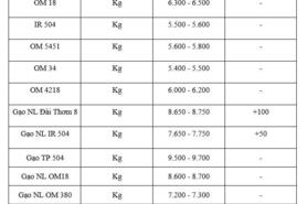 Giá lúa gạo hôm nay ngày 15/1/2026: Gạo xuất khẩu tăng nhẹ