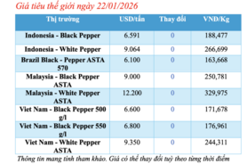 Giá tiêu hôm nay 22/1/2026: Duy trì ổn định