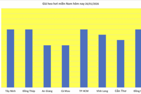 Giá heo hơi hôm nay 26/1/2026: Tăng rải rác