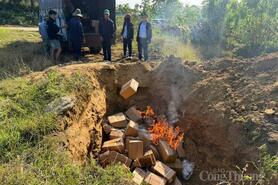 Đắk Lắk: Siết chặt quản lý, nói không với hàng giả và găm hàng