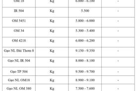 Giá lúa gạo hôm nay ngày 10/3/2026: Gạo nguyên liệu xuất khẩu OM 5451 tăng