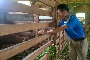 Khi nông dân huyện nghèo sản xuất, kinh doanh giỏi