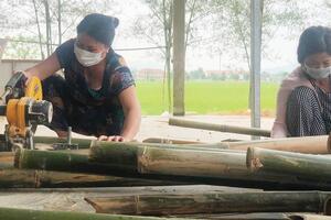 “Đòn bẩy” cho kinh tế tập thể