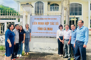 Liên minh HTX Việt Nam thúc đẩy giảm nghèo bền vững tại Cà Mau với mô hình nuôi nghêu kết hợp du lịch cộng đồng