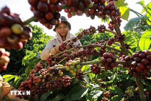 6 tháng đầu năm, xuất khẩu nông lâm thủy sản tăng 15,5%, giao thương với Mỹ tăng mạnh