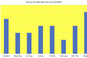 Giá heo hơi hôm nay 7/10/2025: Giảm đồng loạt ở cả 3 miền