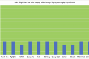 Giá heo hơi hôm nay 10/11/2025: Phiên đầu tuần lặng sóng