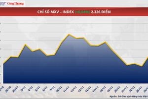 Giá cà phê Robusta tăng trở lại trước nguy cơ thiếu hụt nguồn cung