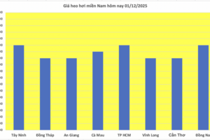Giá heo hơi hôm nay 01/12/2025: Tiếp đà tăng, đạt mốc mới