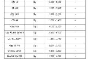 Giá lúa gạo hôm nay ngày 3/2/2026: Giao dịch chậm cận Tết