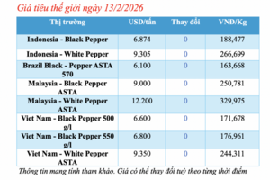 Giá tiêu hôm nay 13/2/2026: Giảm nhẹ vài nơi