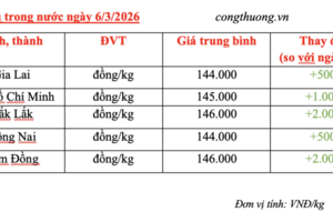 Giá tiêu hôm nay 6/3/2026: Bật tăng đồng loạt