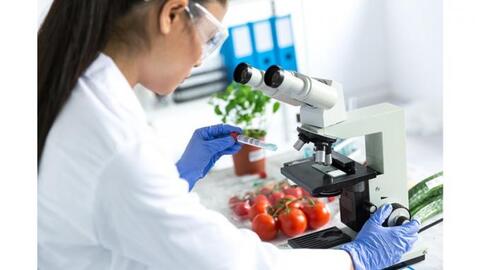 Thời của công nghệ thực phẩm