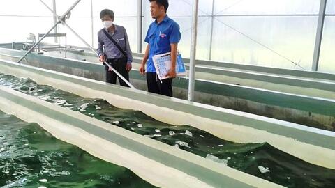 Đa dạng hóa sản phẩm, HTX Vạn Tường đăng ký nhãn hiệu OCOP