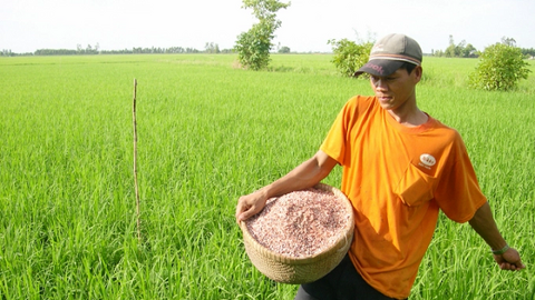 Thay đổi tư duy, nhận thức nông dân để sản xuất bền vững ĐBSCL