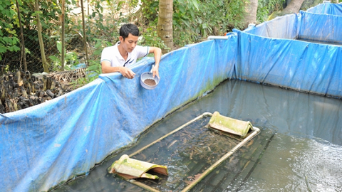 Cần Thơ - Nuôi lươn thâm canh công nghệ tuần hoàn nước
