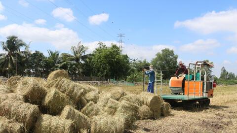 Ứng dụng công nghệ sinh học “nâng tầm” nông sản Việt