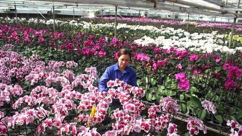 Sơn La quan tâm nghiên cứu và phát triển công nghệ sinh học