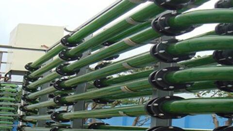 Thiết bị nuôi tảo “tích hợp”