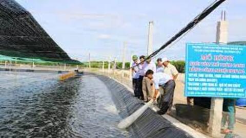 Thủy sản Nghệ An trước yêu cầu chuyển đổi số