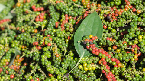 Dự báo giá tiêu trong nước ngày mai 4/7/2025, trong nước neo ngưỡng cao