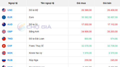 Tỷ giá USD hôm nay 17/07/2025: Đồng USD hồi phục mạnh so với Euro