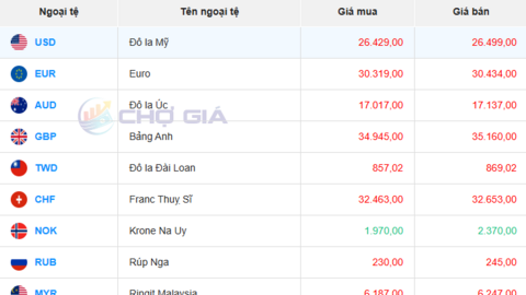 Tỷ giá USD hôm nay 31/07/2025: Đồng USD tăng giá so với các đồng tiền chủ chốt