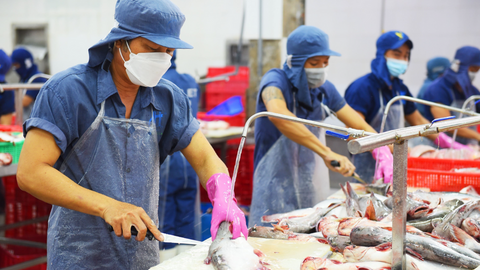 RCEP tạo 'làn gió mới' cho xuất khẩu cá tra Việt Nam