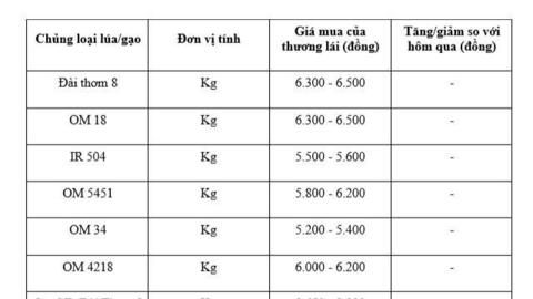 Giá lúa gạo hôm nay ngày 3/2/2026: Giao dịch chậm cận Tết