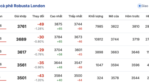 Giá cà phê hôm nay 5/2/2026: Sụt giảm sâu