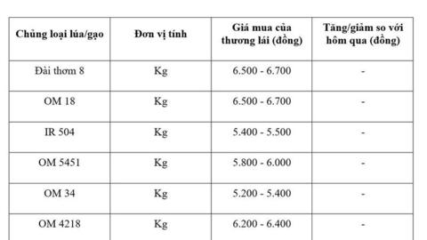 Giá lúa gạo hôm nay ngày 24/2/2026: Gạo xuất khẩu tăng giảm trái chiều