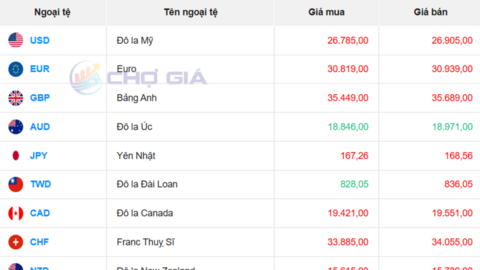 Tỷ giá USD hôm nay 12/3/2026: 'Chợ đen' giảm mạnh