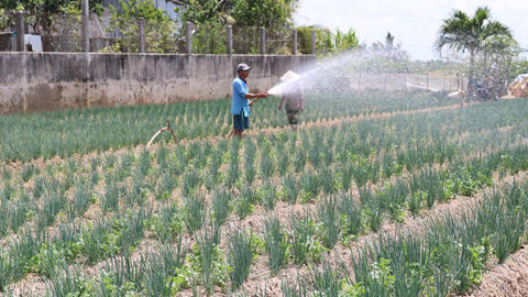 Hiệu quả hồ chứa nước ngọt Kênh Lấp và Lạc Địa